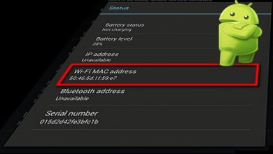 How to Find Mac Address on Android