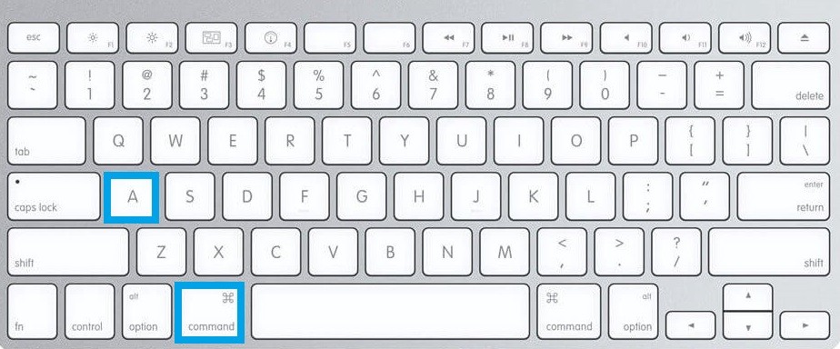 Press Command and A keys-How to Select All on Mac