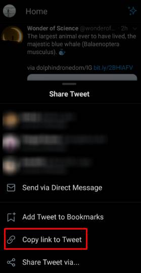 Copy link