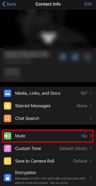 chat mute 