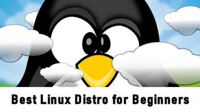 Best Linux Distro for Beginners