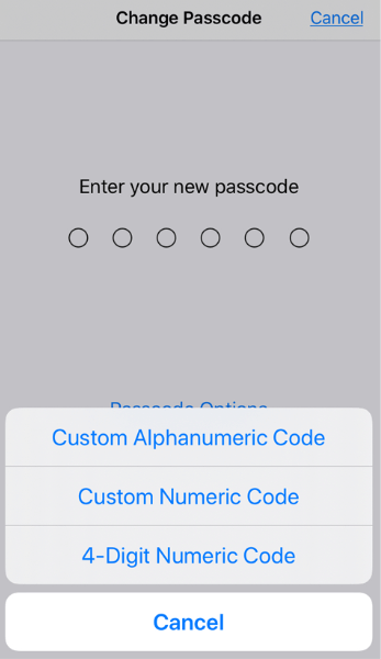 Choose Passcode Format to Change Passcode on iPhone