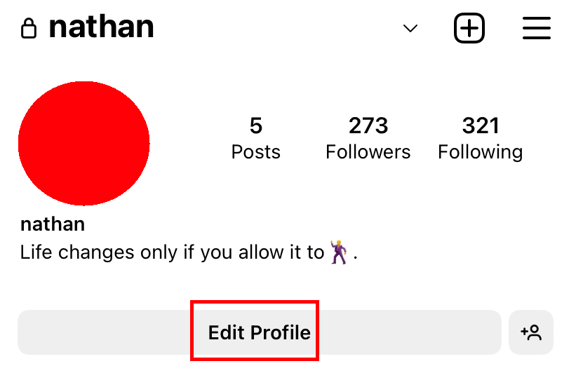 Instagram Edit Profile