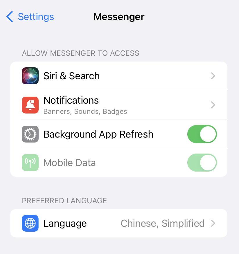 Click the Language option on iPhone settings