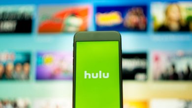 Hulu Alternatives