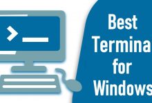 Best Terminal for Windows