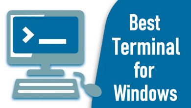 Best Terminal for Windows