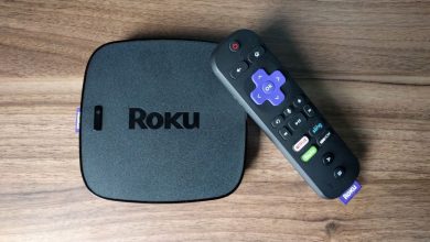 Restart Roku