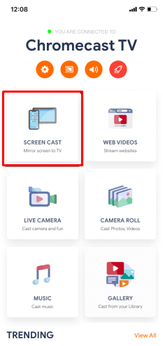 Select Screen Cast in the Chromecast device