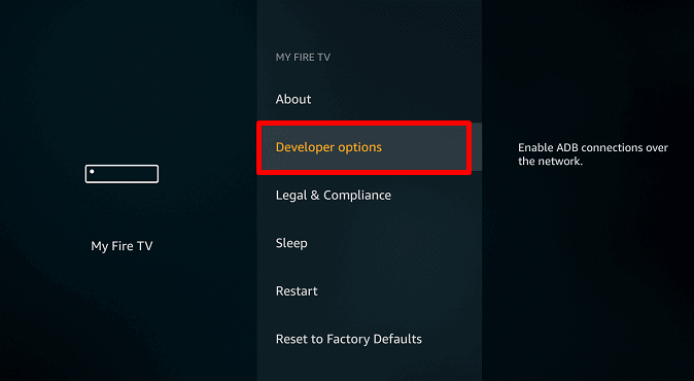 Select Developer Options