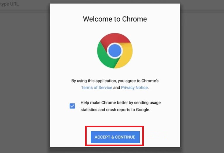 Use Chrome on Firestick