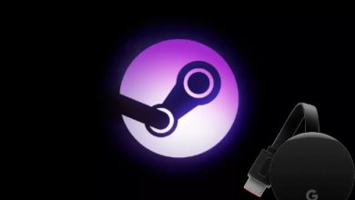 Chromecast Steam Link