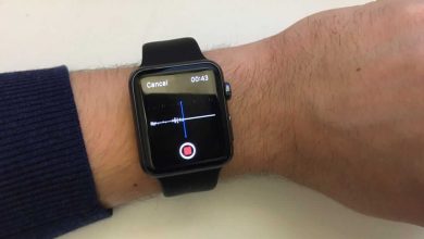 Voice Memos on Apple Watch