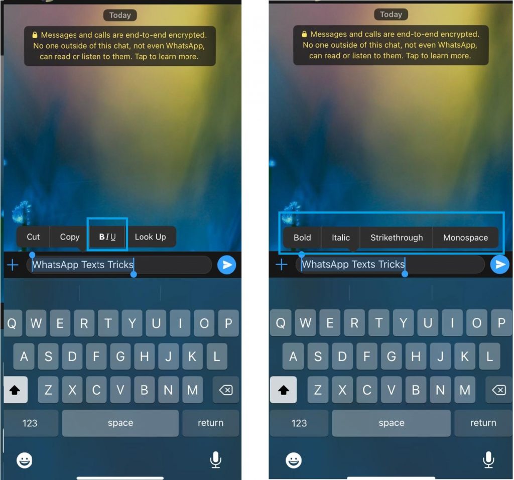 WhatsApp Text Tricks to Format Text in iOS 