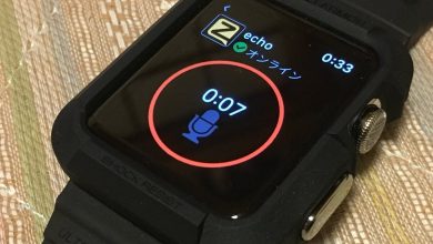 Zello on Apple Watch