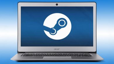 Steam on Chromebook