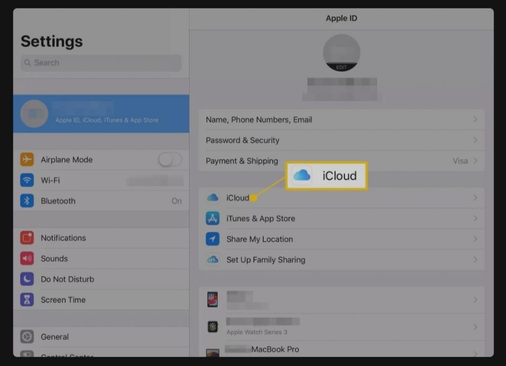iPad with Settings screen. On the right pane, the iCloud item on the vertical menu is highlighted.