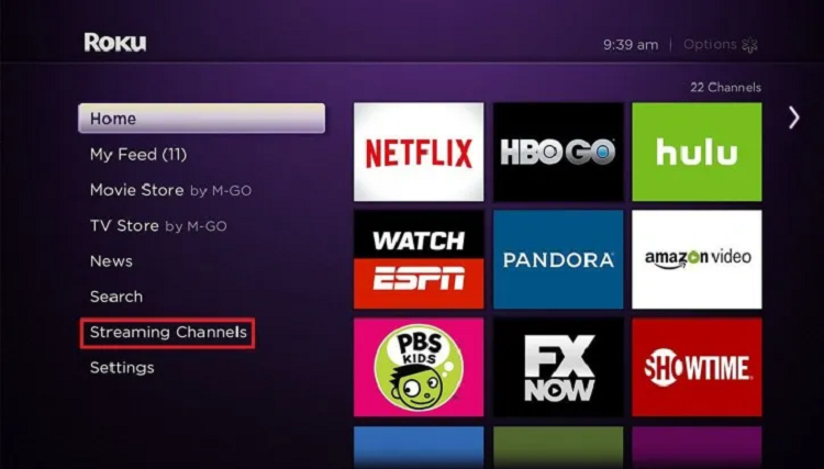 Roku Home Screen