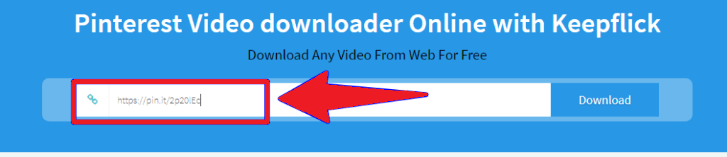 enter the URL - How to save Videos from Pinterest