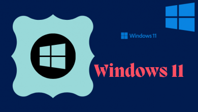 Windows 11