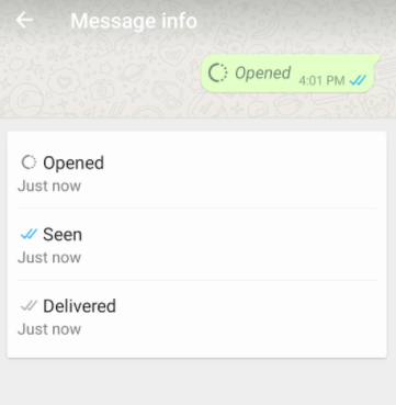 Message Info for WhatsApp View Once message