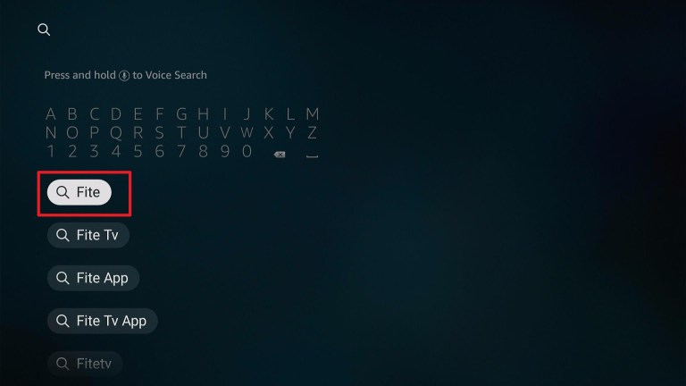 search for Fite app