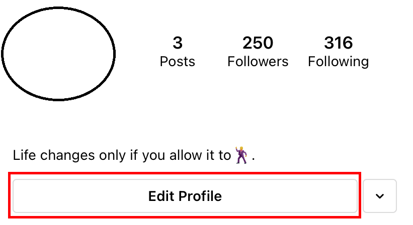 Edit Instagram Profile