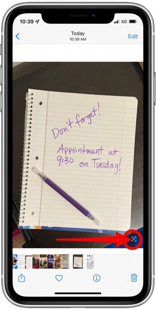 Use Live Text in Photo App