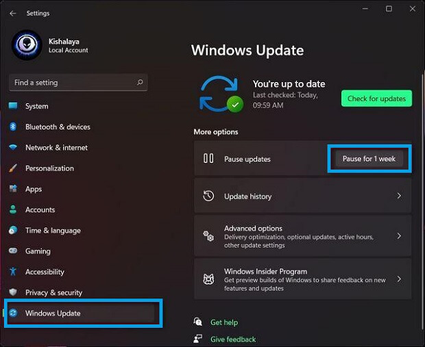 Pause Auto-Updates