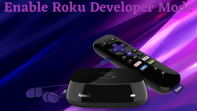 Roku Developer Mode