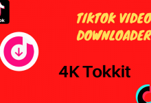 TikTok Video Downloader