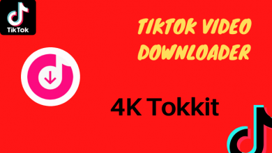 TikTok Video Downloader