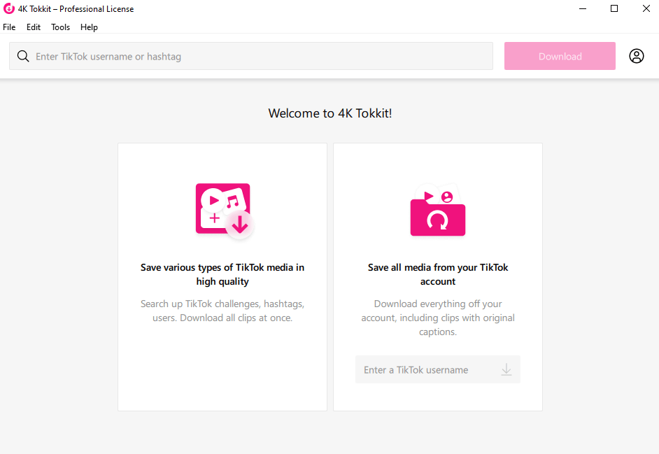 Enter the TikTok Username - TikTok Video Downloader