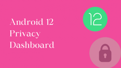 Android 12 Privacy Dashboard