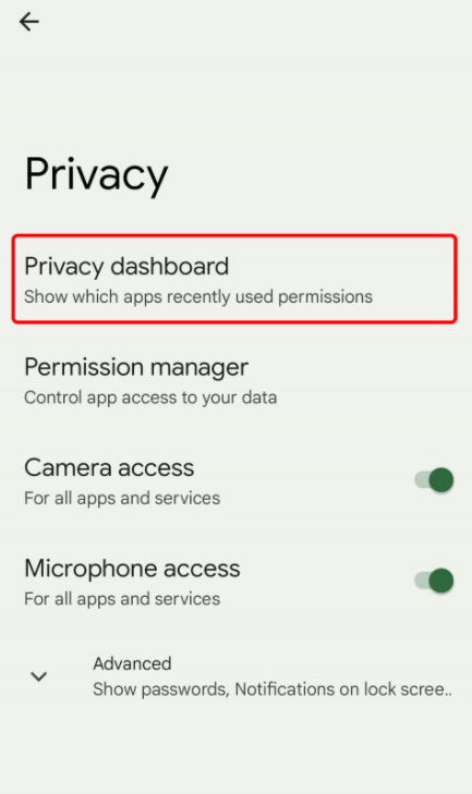 Click Privacy Dashboard in Android 12 update