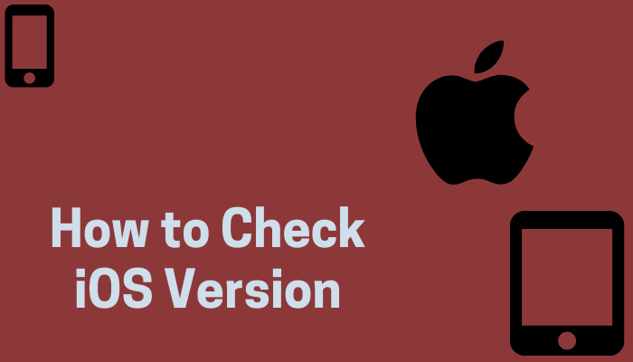How to Check iOS Version