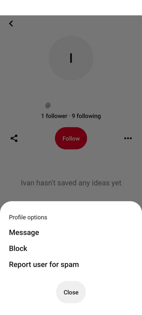 Select Block to remove the followers on Pinterest