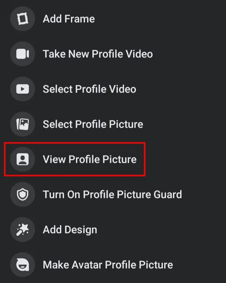 View Profile Picture