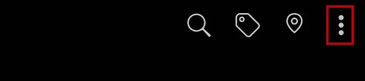 three vertical dots
