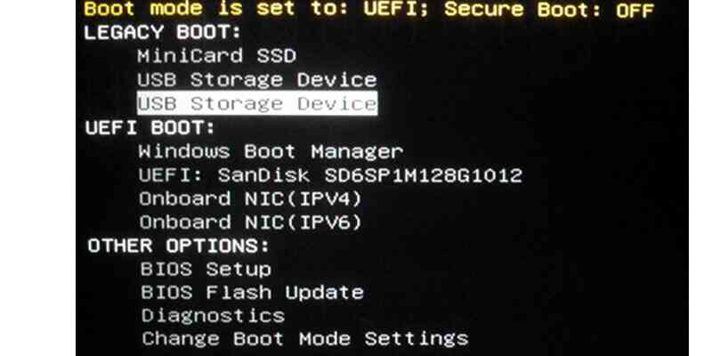 Boot up options screen, highlight the USB Storage Device and hit the Enter key on keyboard.