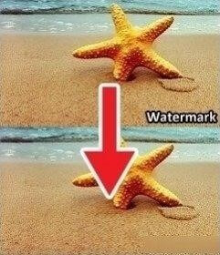 How to Remove Watermark from Images
