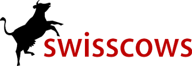 Swisscows search engine.