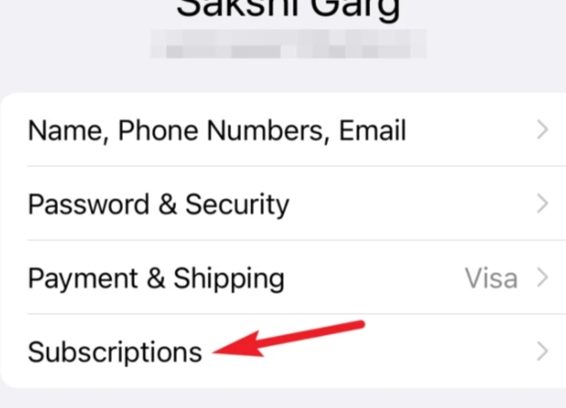 Cancel Canva Subscription using iPhone