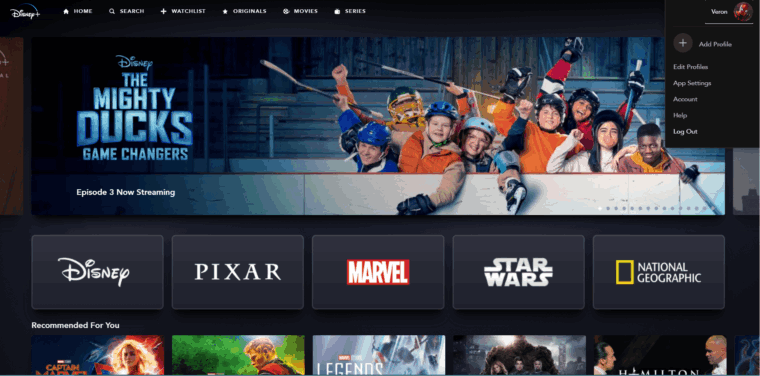 Disney Plus not working on Firestick