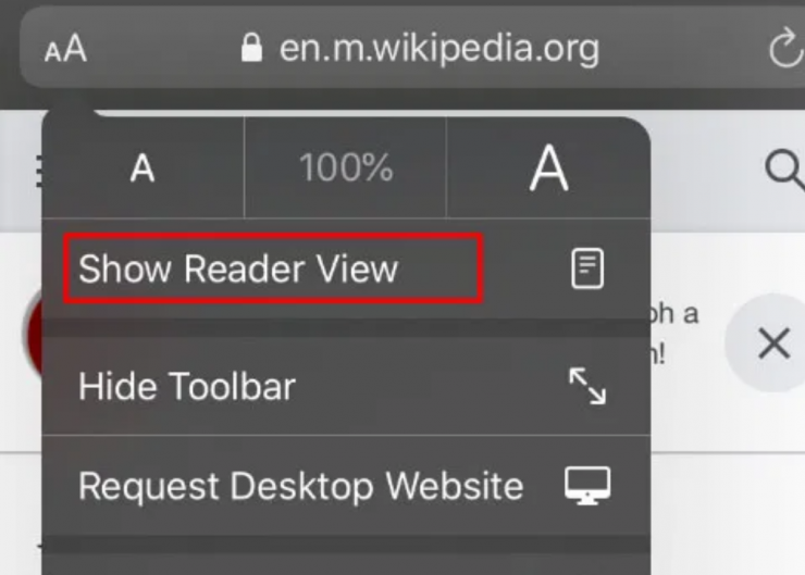 Show Reader View 