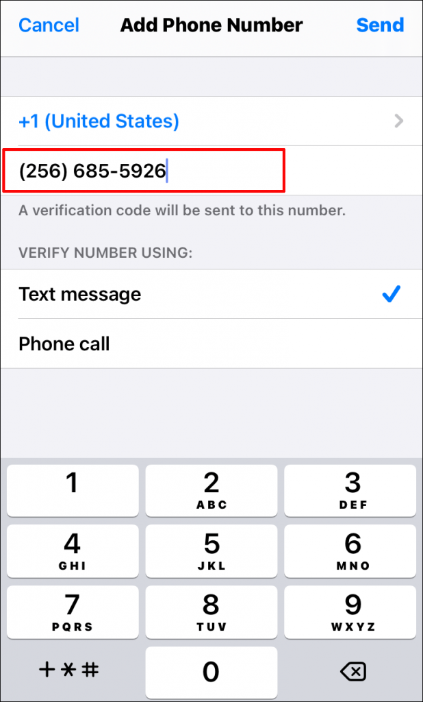 type new number for apple id account