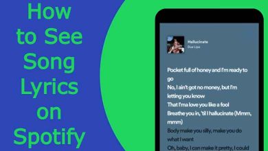 How to See Song Lyrics on Spotify