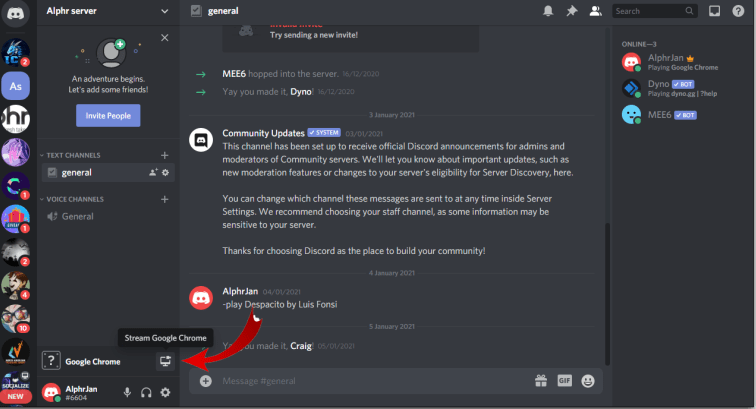 Netflix on Discord