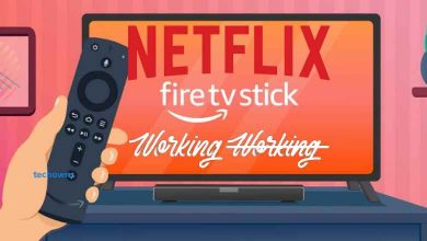 Netflix not working on Firestick