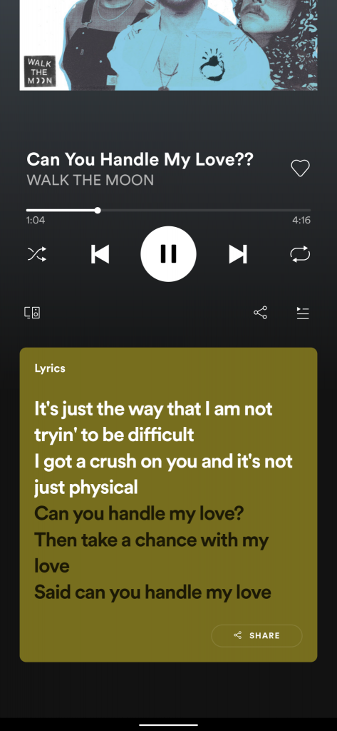 Spotify Lyrics not showing on smartphone